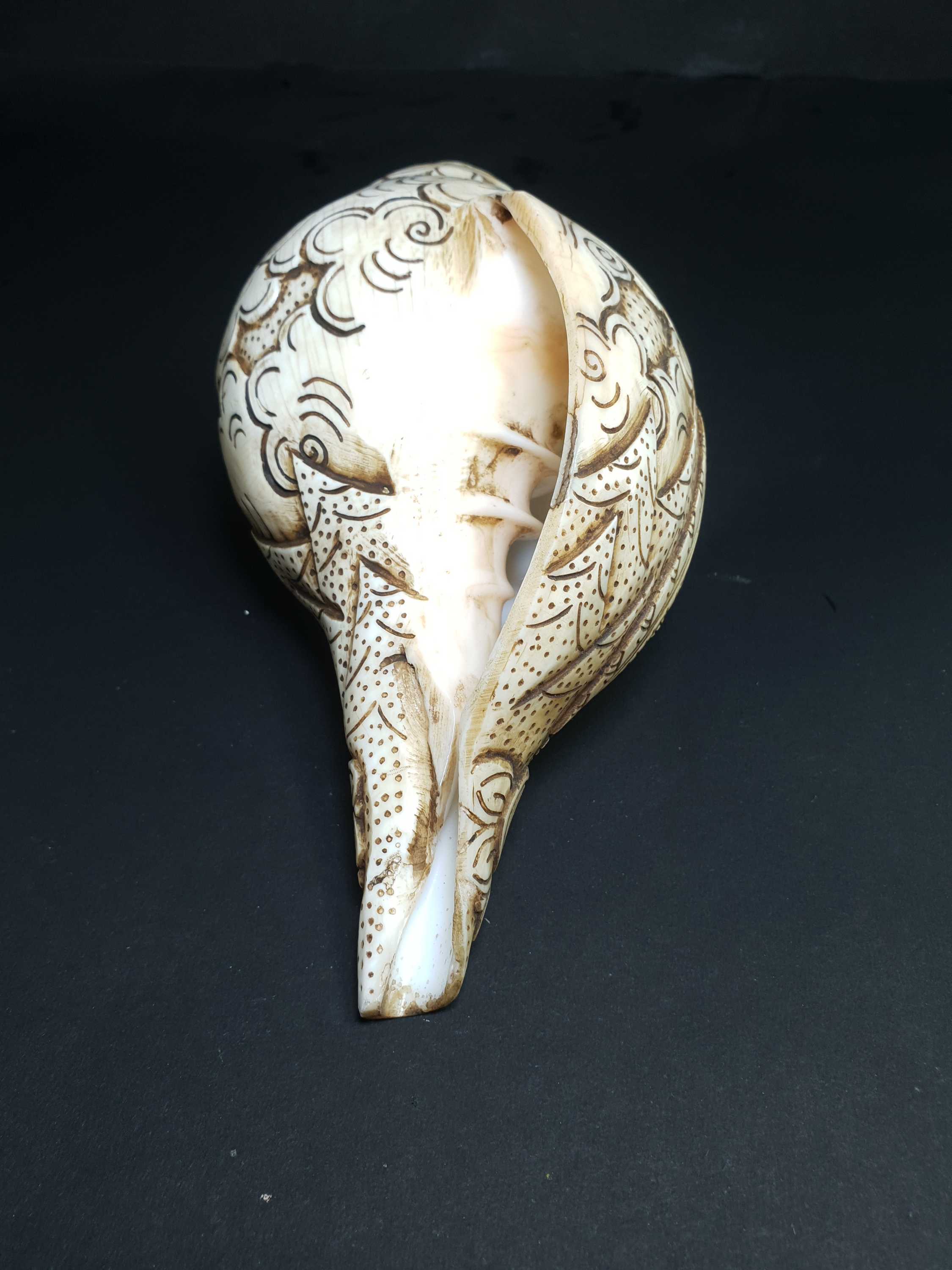 Tibetan Conch Shell <span Style=