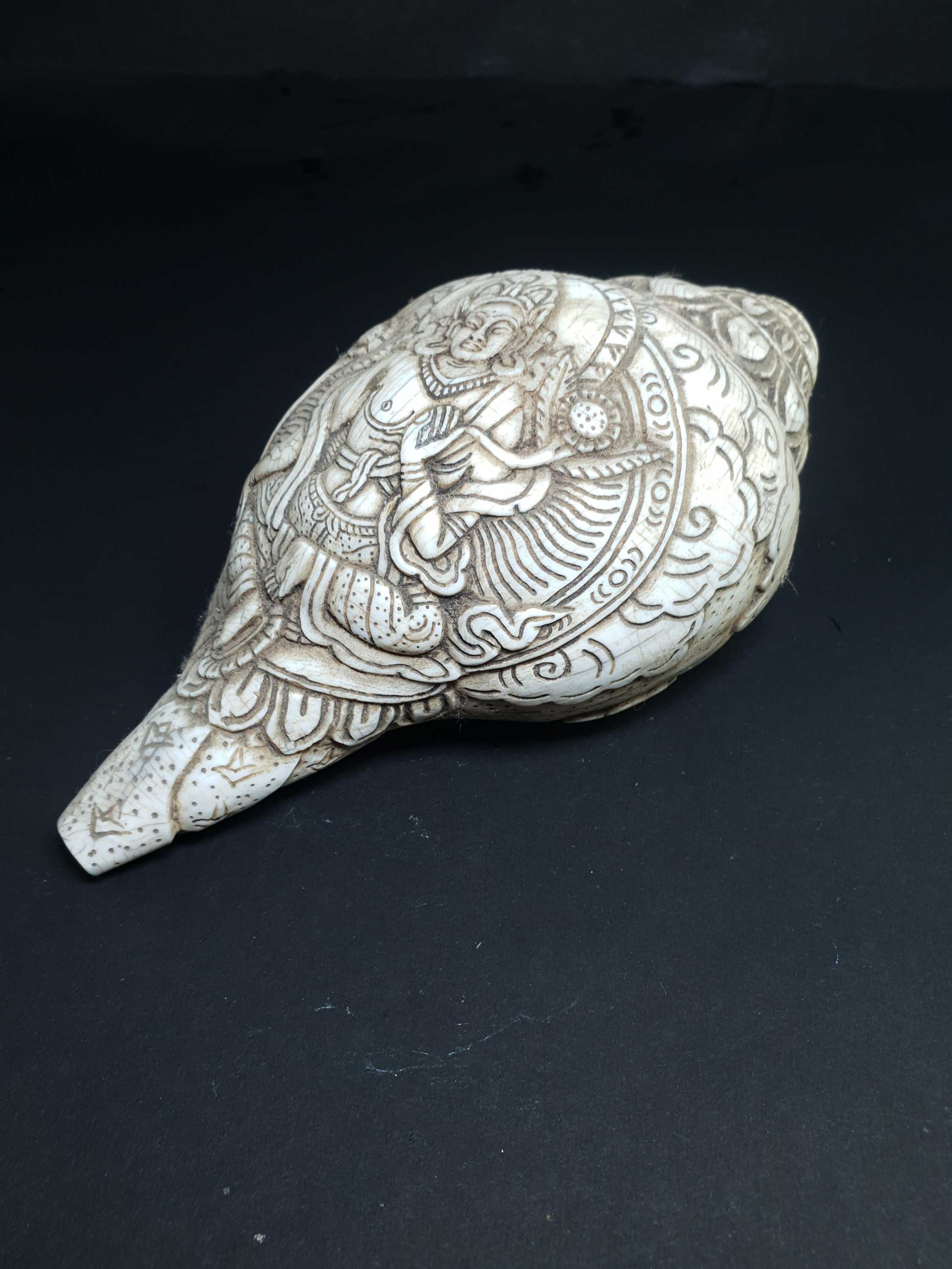 Tibetan Conch Shell <span Style=