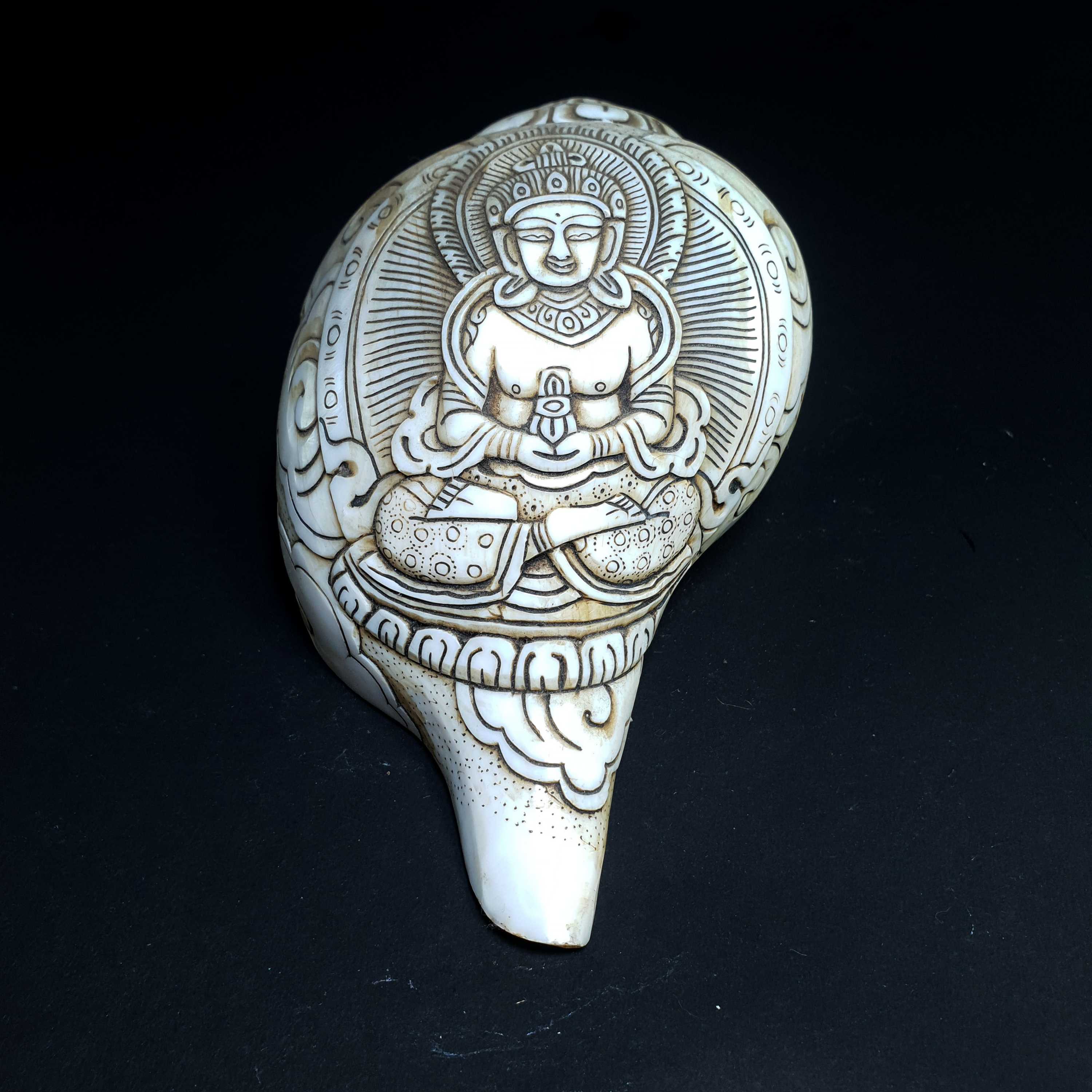 Tibetan Conch Shell With Aparimita Amitayus hand Carved