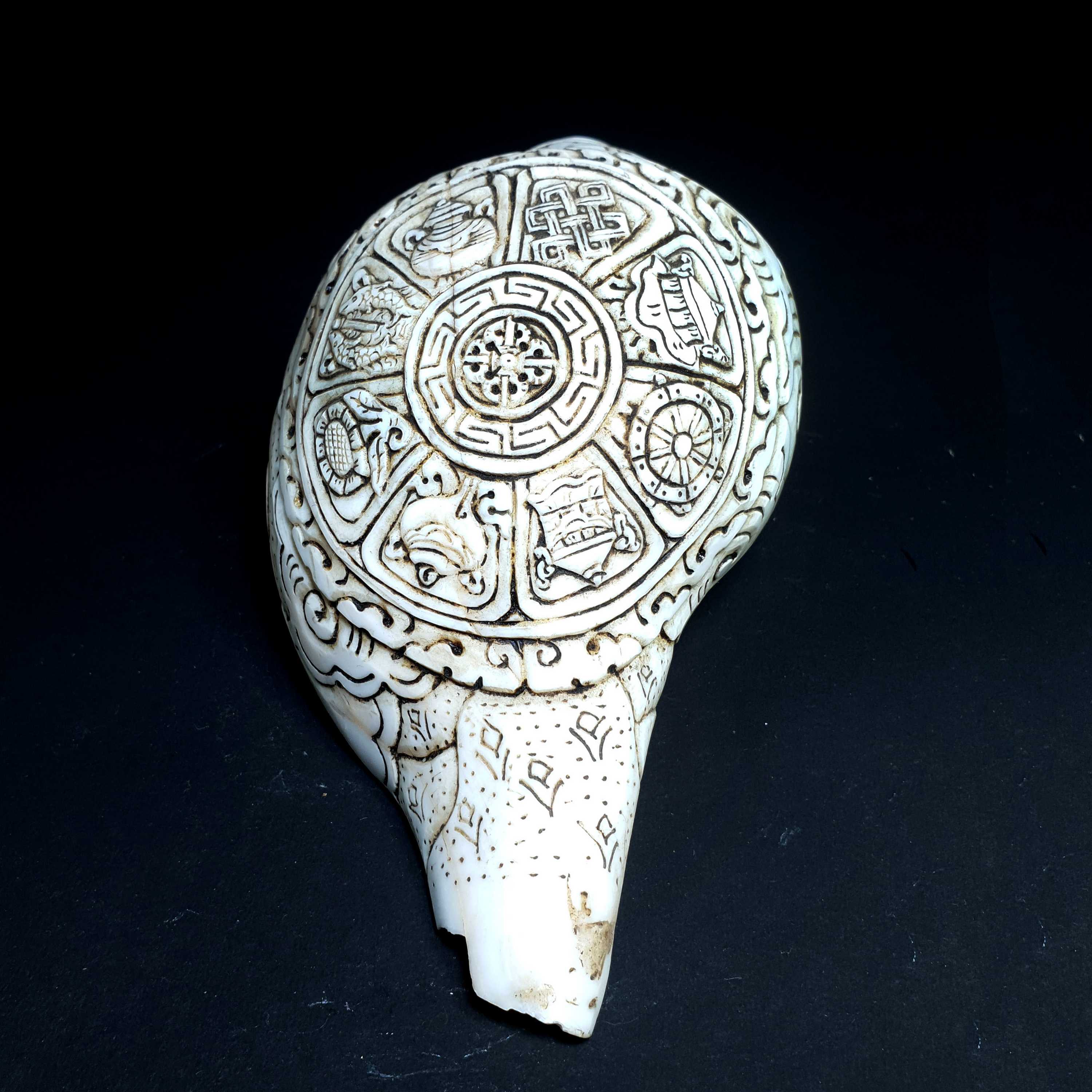 Tibetan Conch Shell With Ashtamangala S hand Carved