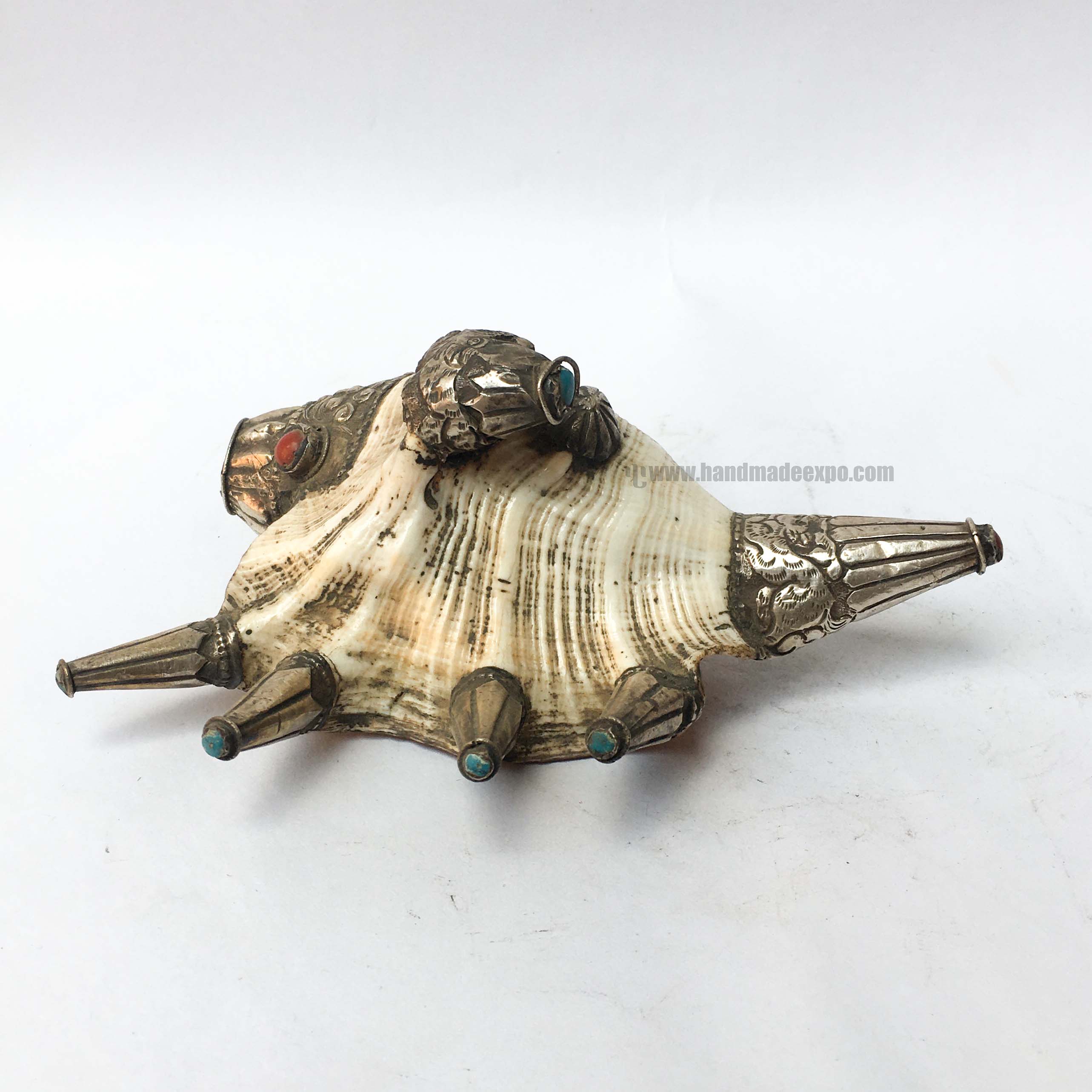 Conch Shell <span Style=