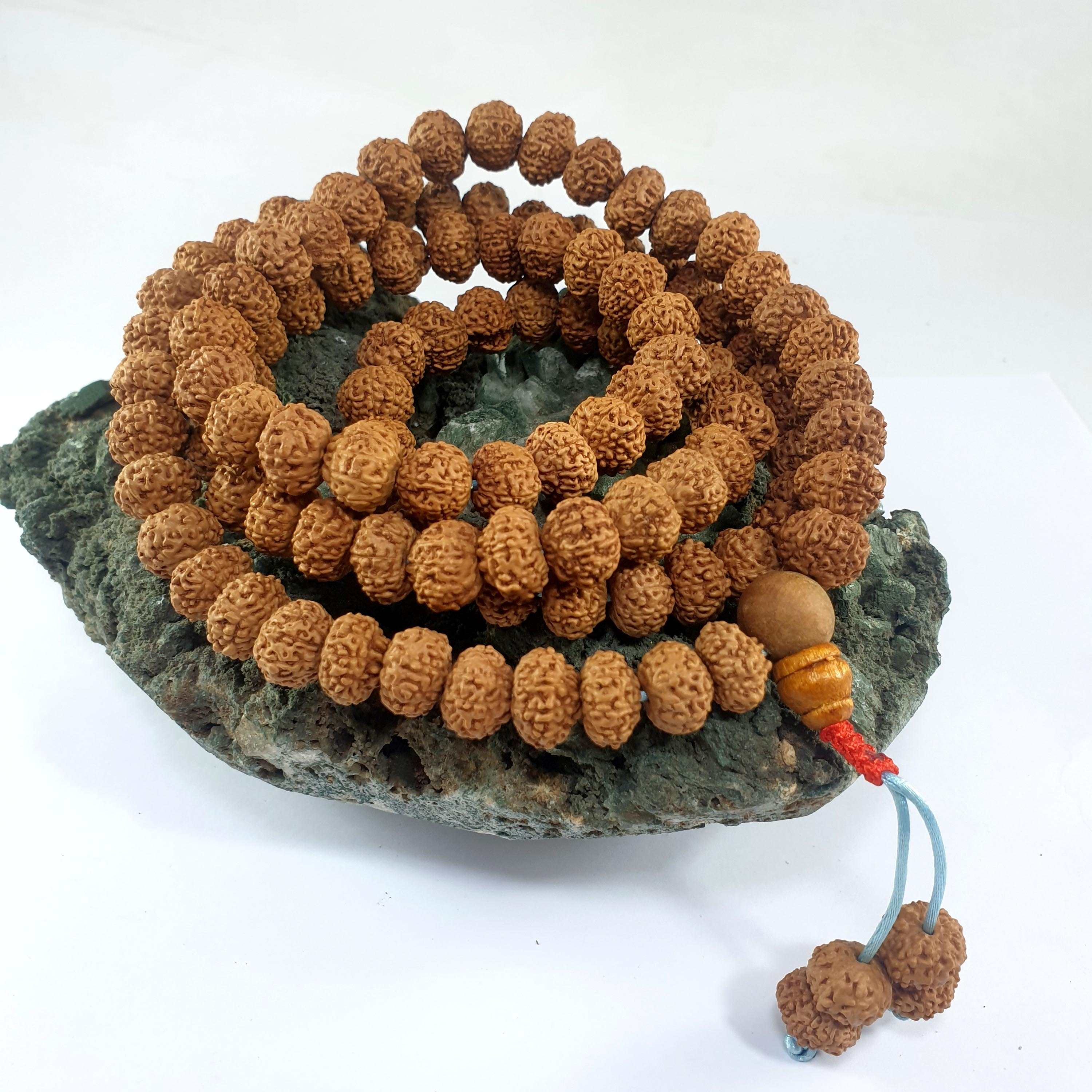 108 Bead 10 Mukhi - Mouth, hq Polished Rudraksha Prayer Bead Mala bead Size -10 Mm, rare Find