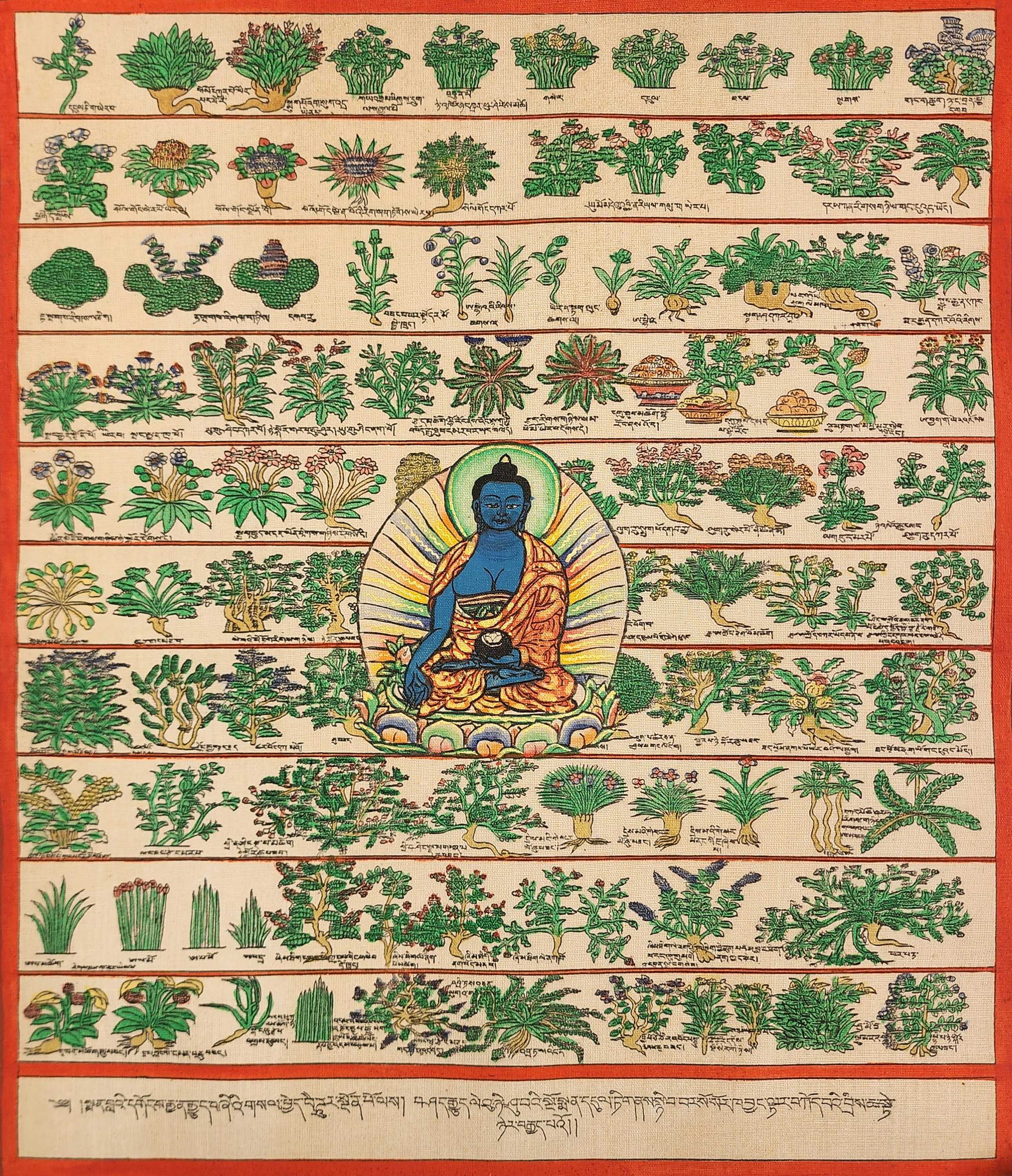Buddhist Tibetan Thangka Of Medical Thangka, medical Herbs, hand Painted