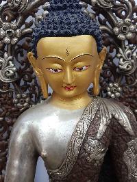 thumb2-Shakyamuni Buddha-15666