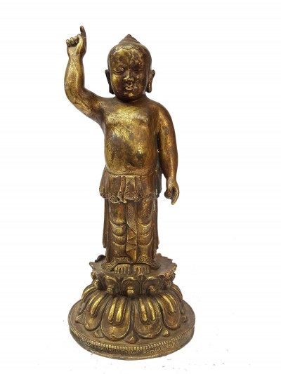 Statue Of Siddhartha [baby Buddha], [full Fire Gold Plated], And [antique Finishing]
