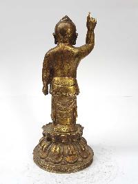Statue Of Siddhartha [baby Buddha], [full Fire Gold Plated], And [antique Finishing]
