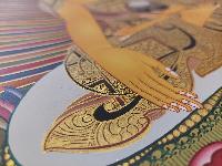 Buddhist Handmade Thangka Of Shakyamuni Buddha, [hand Painted], Real Gold