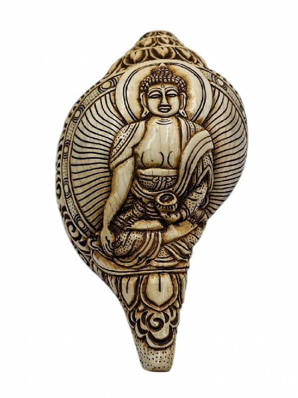 Conch Shell With [shakyamuni Buddha] Hand Carved