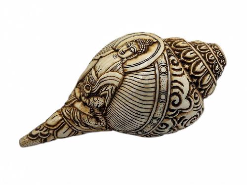 Conch Shell With [shakyamuni Buddha] Hand Carved