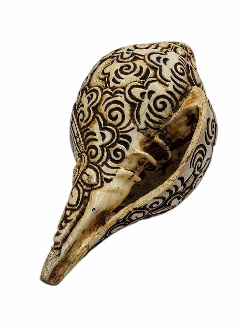 Conch Shell With [shakyamuni Buddha] Hand Carved