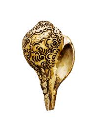 Conch Shell With [narayana, Narsingha Or Narsimha] Hand Carved