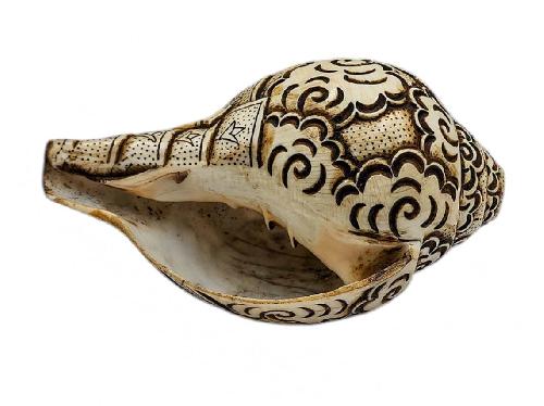 Conch Shell With [kali] Hand Carved