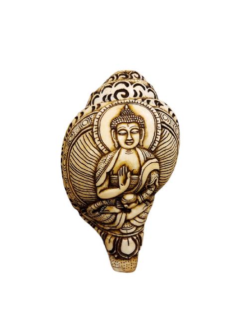 Conch Shell With [amoghasiddhi Buddha] Hand Carved