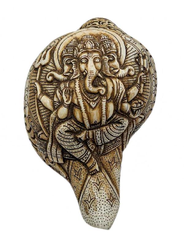 Conch Shell With [ganesh] Hand Carved