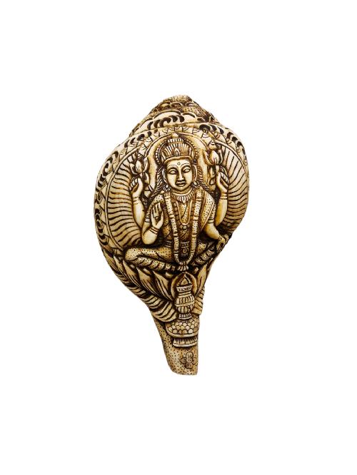 Conch Shell With [lakshmi] Hand Carved