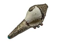 thumb4-Conch Shell-34109