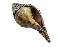 thumb4-Conch shell-34839