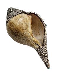 thumb4-Conch shell-34840